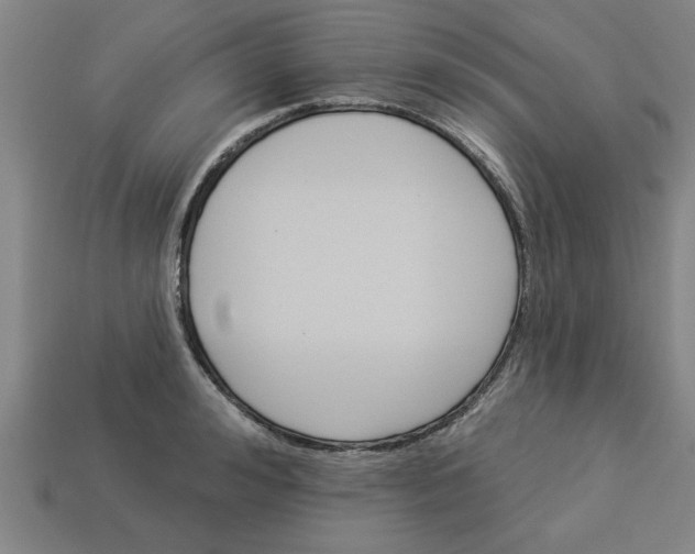 X0000113300992200910051038