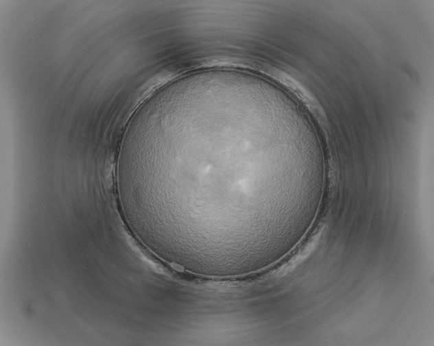 X0000113300993200910051038