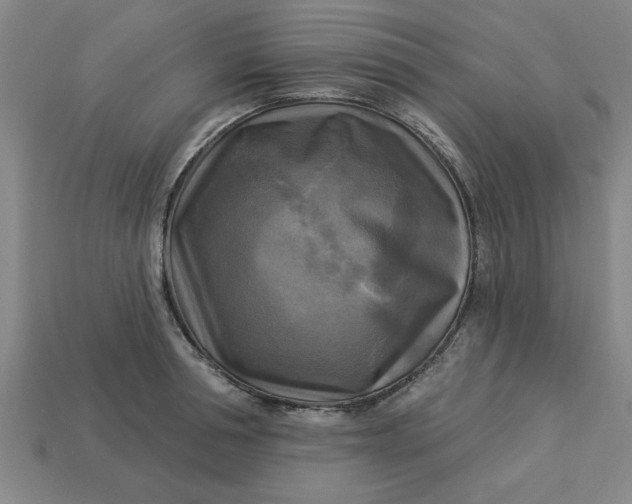 X0000113300994200910051038