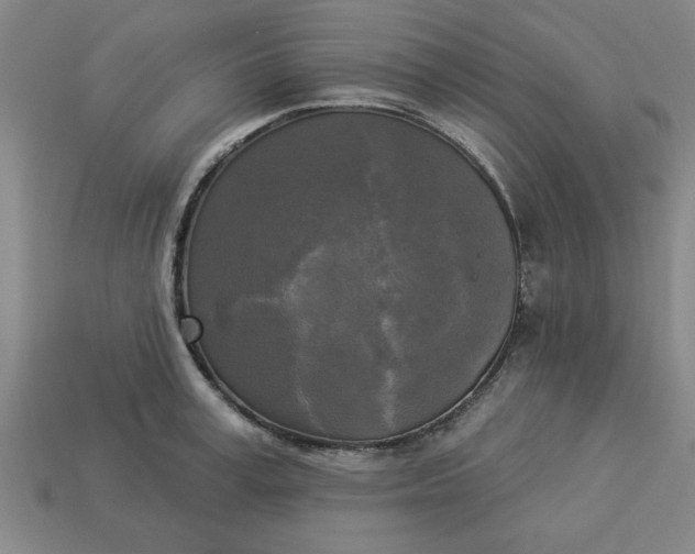 X0000113300995200910051038