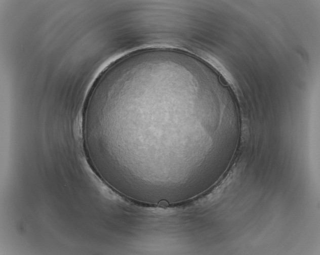 X0000113300996200910051038