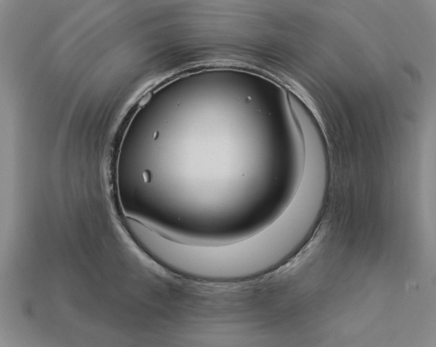 X0000113300997200910051038