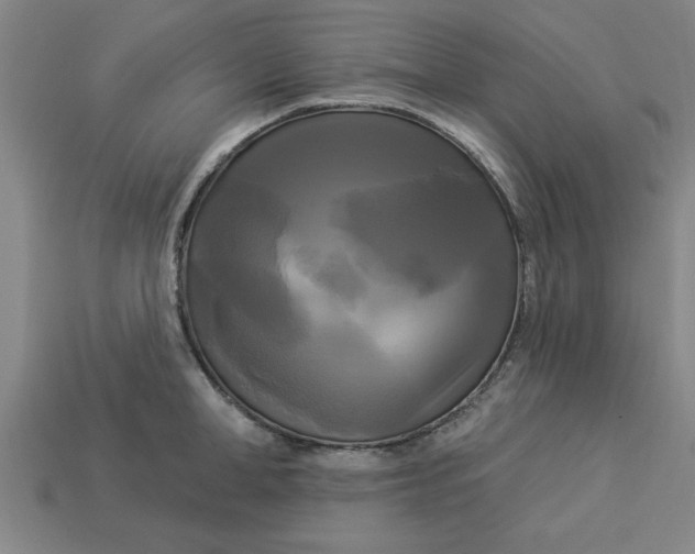 X0000113300998200910051038