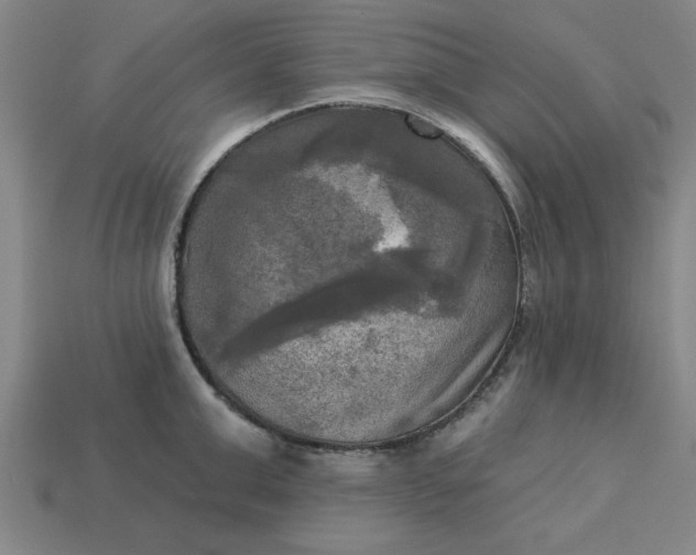 X0000113300999200910051038