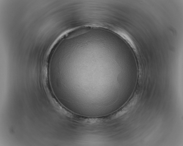 X0000113301000200910051038