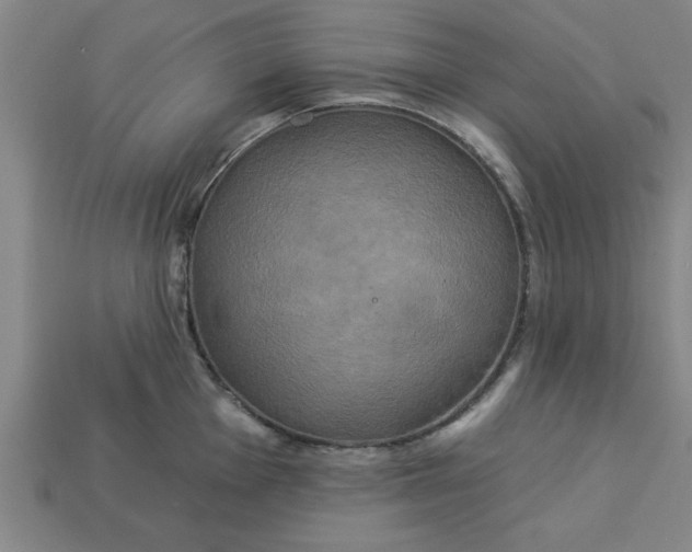 X0000113301001200910051038