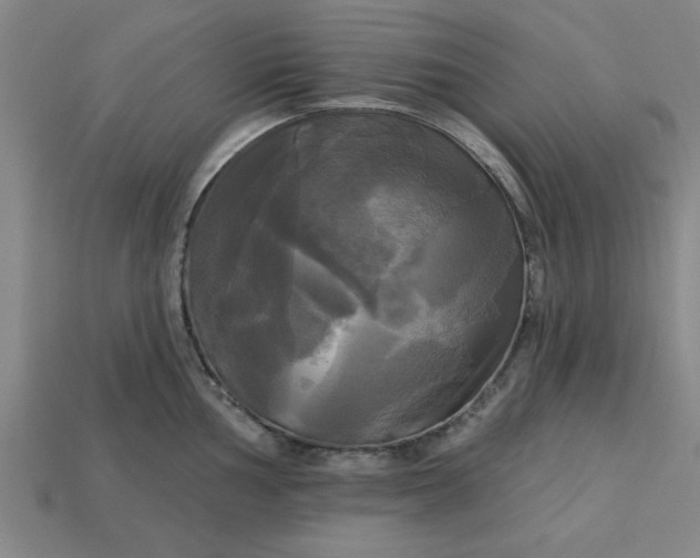 X0000113301002200910051038