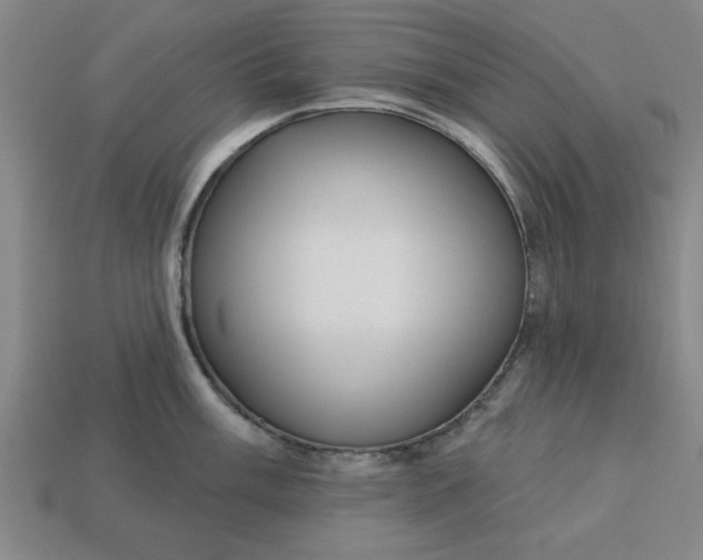 X0000113301003200910051038