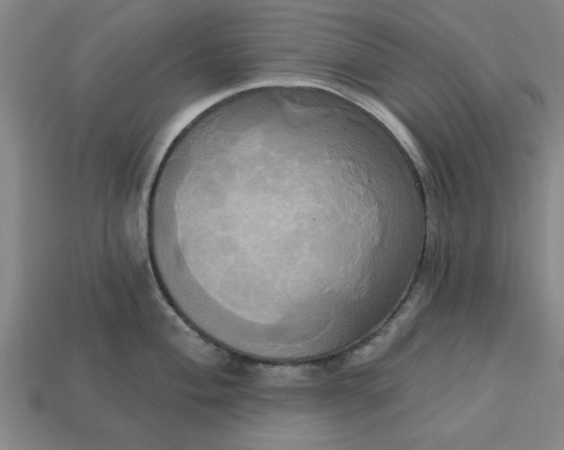 X0000113301004200910051038