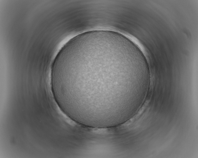 X0000113301006200910051038