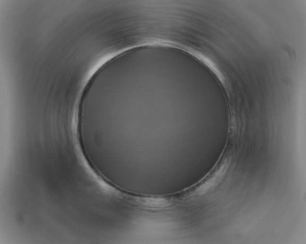 X0000113301007200910051038