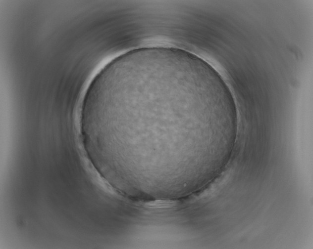 X0000113301008200910051038