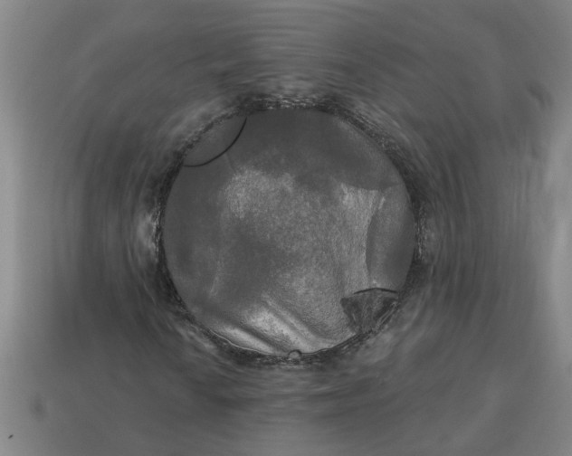 X0000113301010200910051037