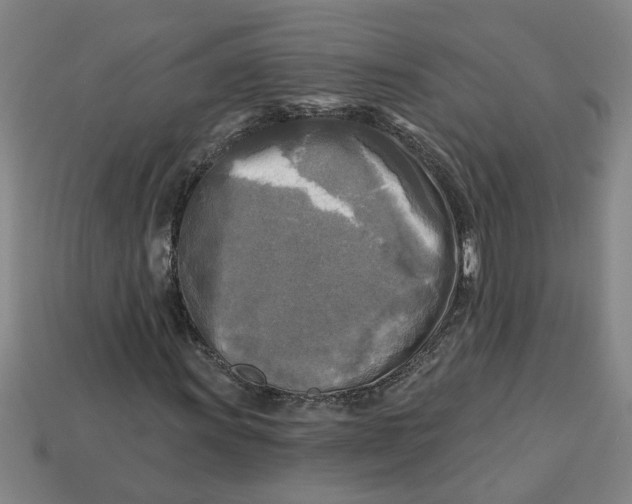 X0000113301011200910051037