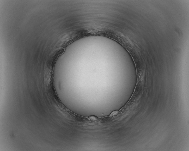 X0000113301012200910051037