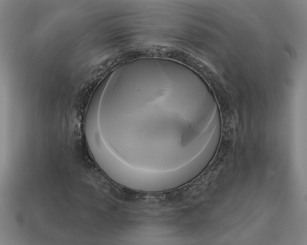 X0000113301013200910051037