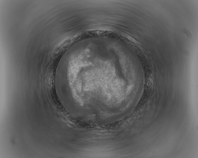 X0000113301014200910051037