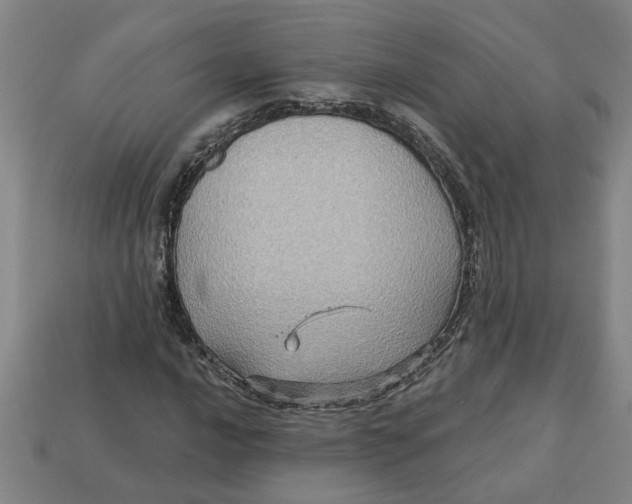 X0000113301016200910051038