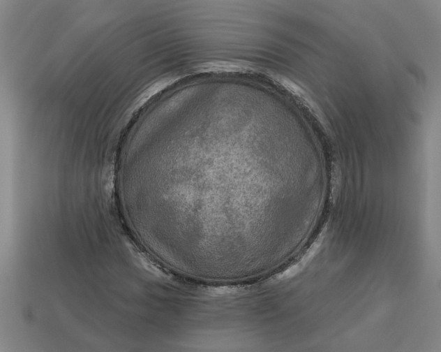 X0000113301017200910051038