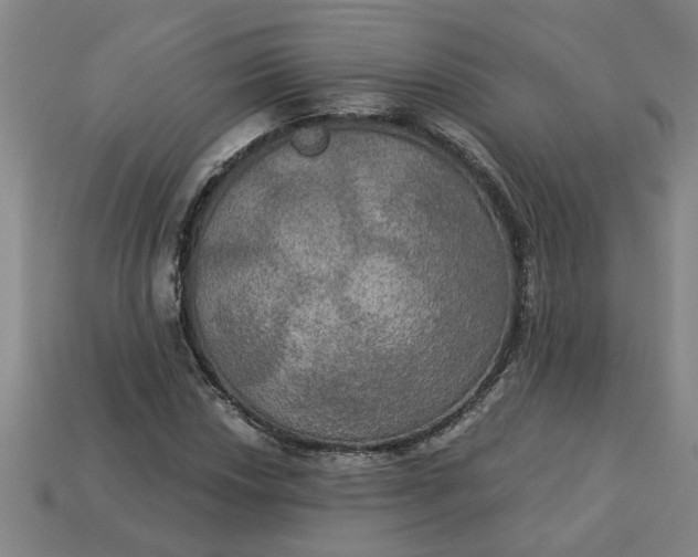 X0000113301018200910051038