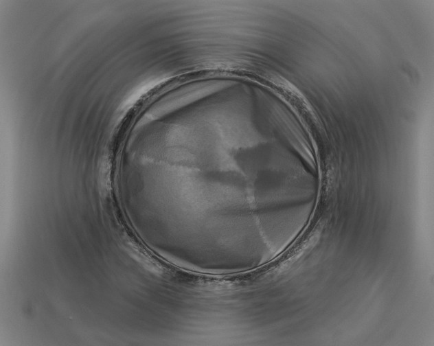 X0000113301019200910051038