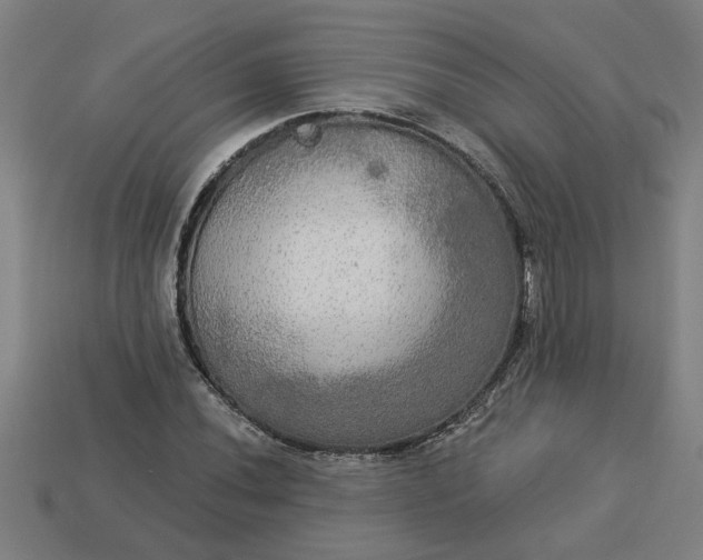 X0000113301020200910051038