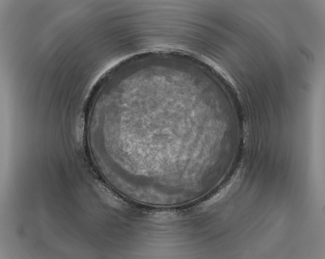 X0000113301021200910051038