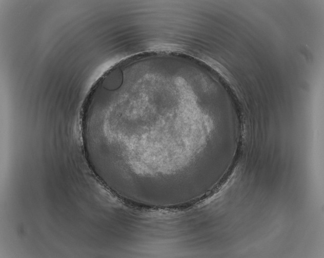 X0000113301022200910051038