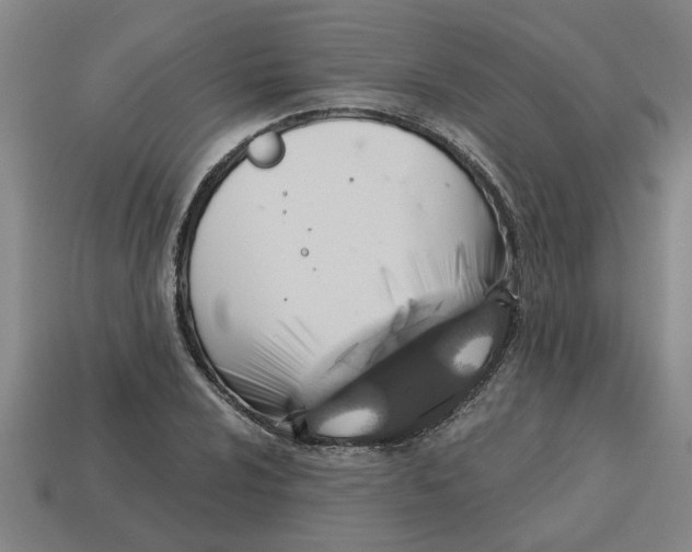 X0000113301024200910051038