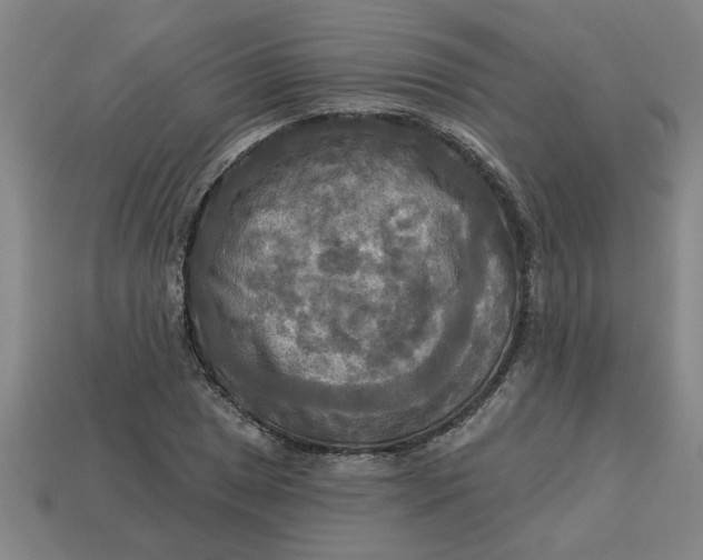 X0000113301025200910051038