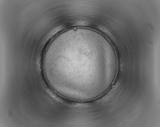 X0000113301026200910051038