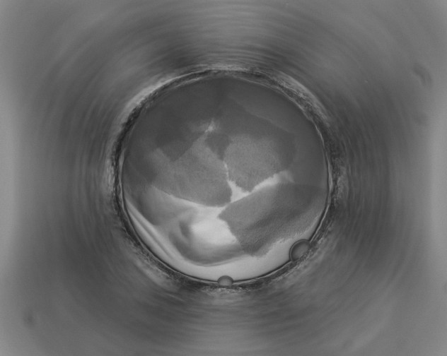 X0000113301027200910051038