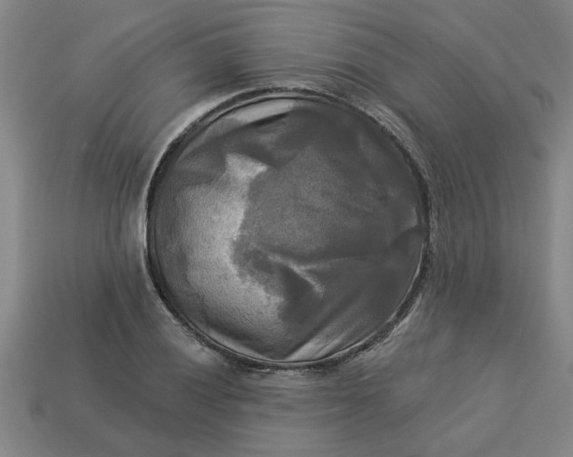 X0000113301028200910051038