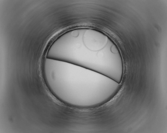 X0000113301029200910051038