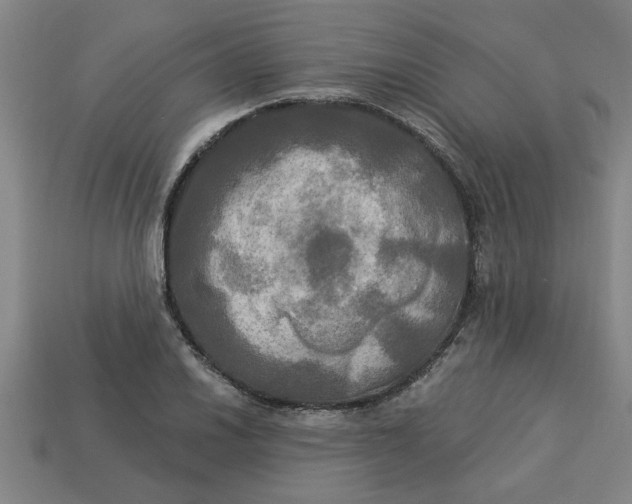 X0000113301030200910051038