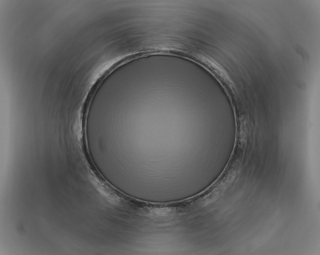 X0000113301031200910051038