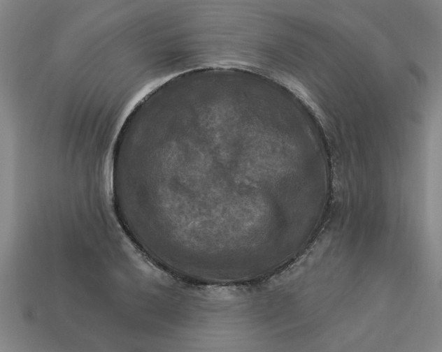 X0000113301032200910051038