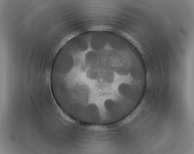 X0000113301033200910051038