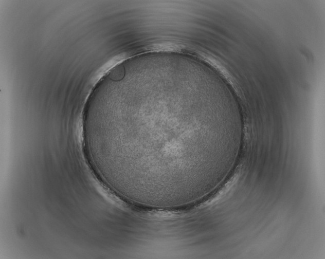 X0000113301034200910051038