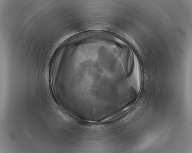 X0000113301035200910051038