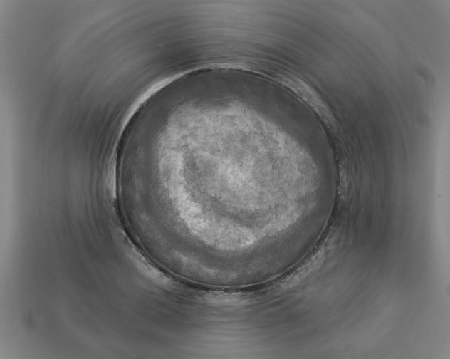 X0000113301036200910051038