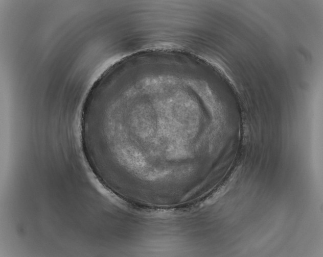 X0000113301038200910051038