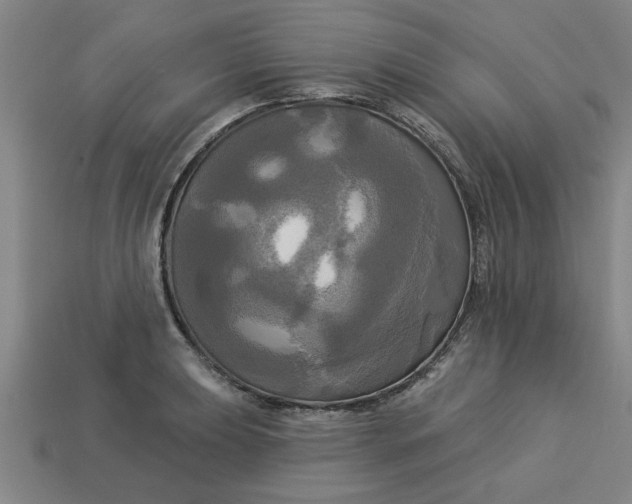 X0000113301039200910051038