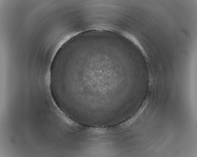 X0000113301040200910051038