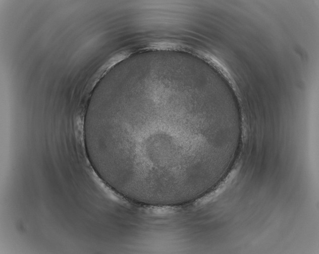 X0000113301041200910051038