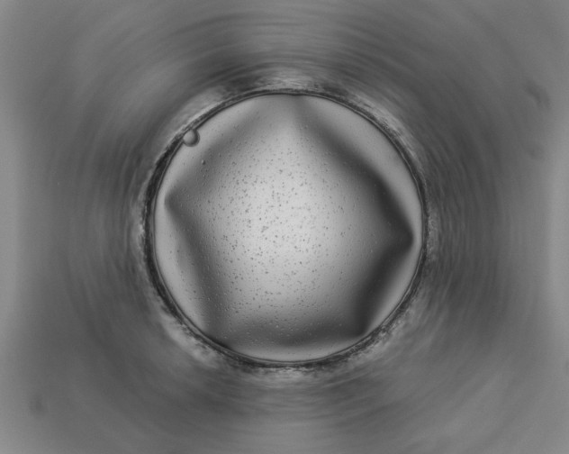 X0000113301042200910051038