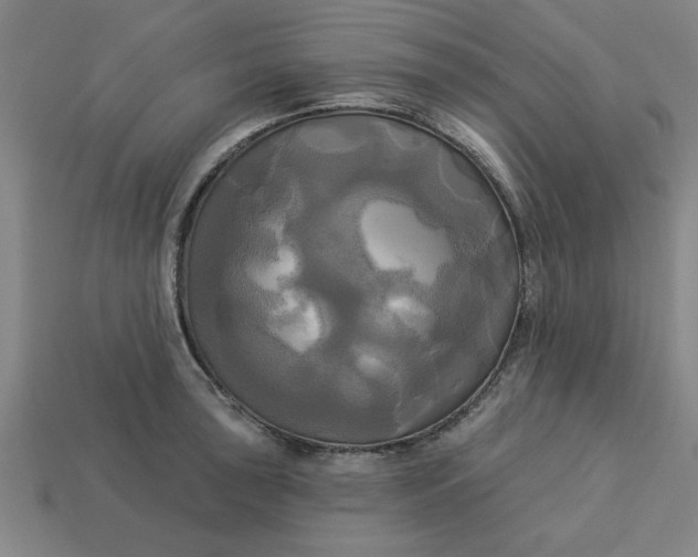 X0000113301043200910051038