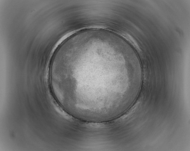 X0000113301044200910051038