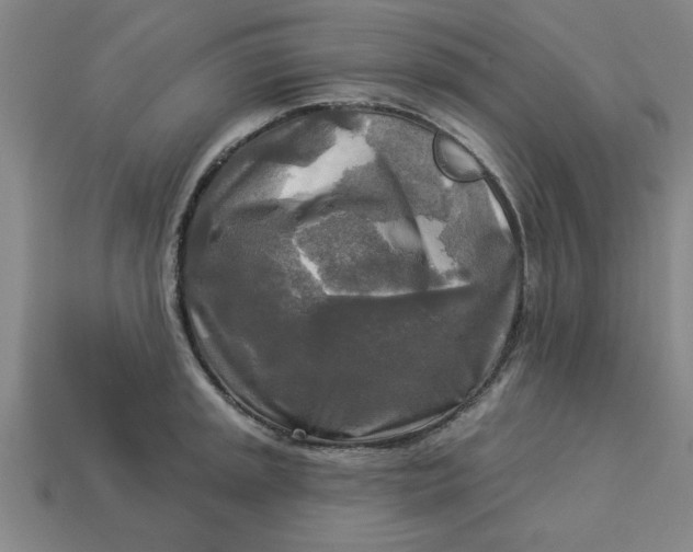 X0000113301045200910051038