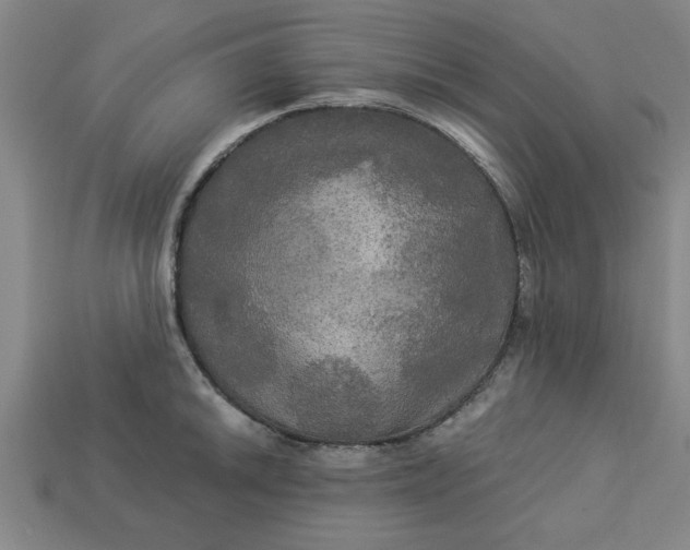 X0000113301046200910051038